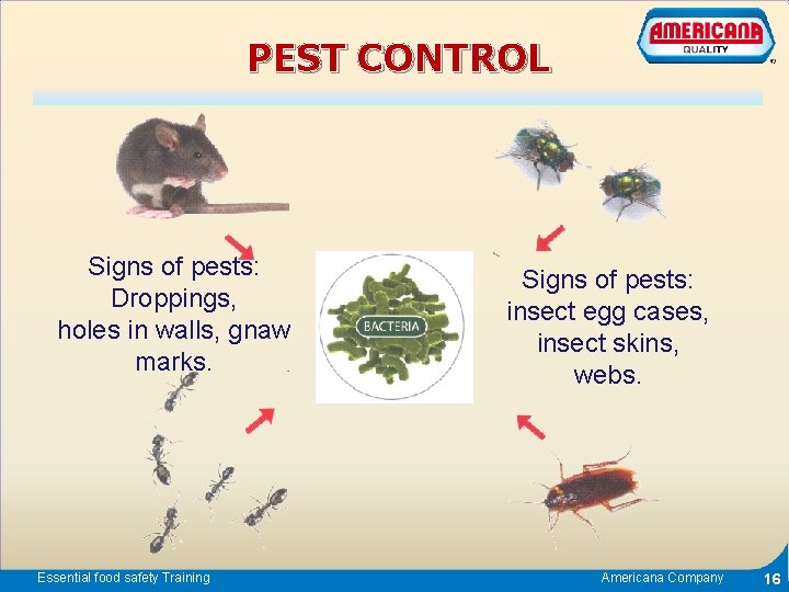 PEST CONTROL Signs of pests: Droppings, holes in walls, gnaw marks. Essential food safety