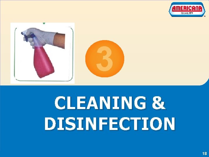 3 CLEANING & DISINFECTION Essential food safety Training Americana Company 18 