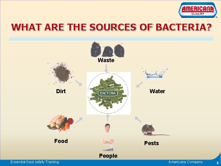 WHAT ARE THE SOURCES OF BACTERIA? Waste Dirt Water Food Pests People Essential food