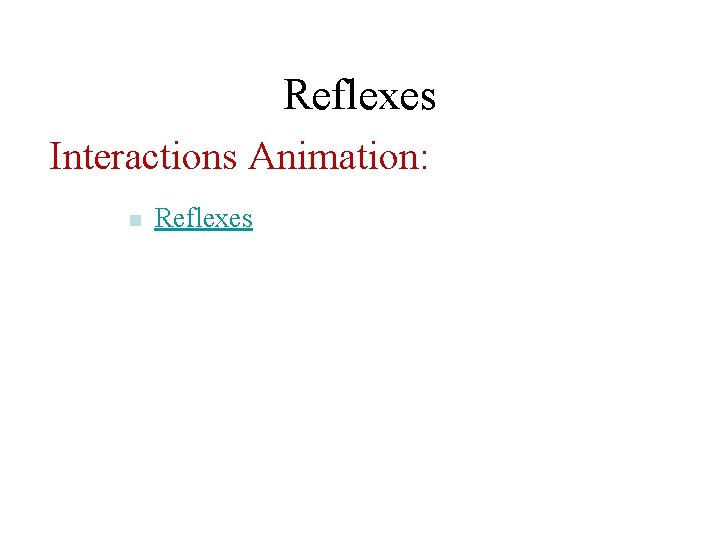 Reflexes Interactions Animation: n Reflexes 