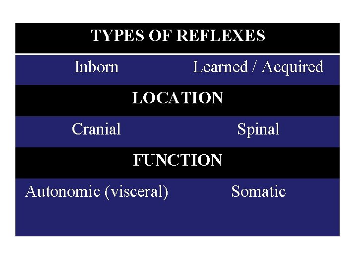 TYPES OF REFLEXES Inborn Learned / Acquired LOCATION Cranial Spinal FUNCTION Autonomic (visceral) Somatic