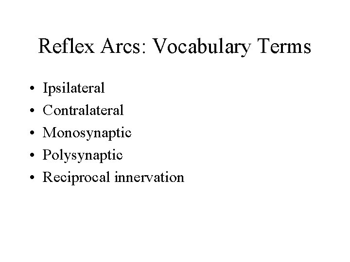 Reflex Arcs: Vocabulary Terms • • • Ipsilateral Contralateral Monosynaptic Polysynaptic Reciprocal innervation 