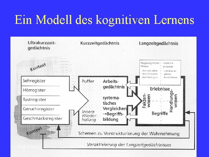 Ein Modell des kognitiven Lernens Fredi Büchel DELV Grundkurs Luzern 2010 5 