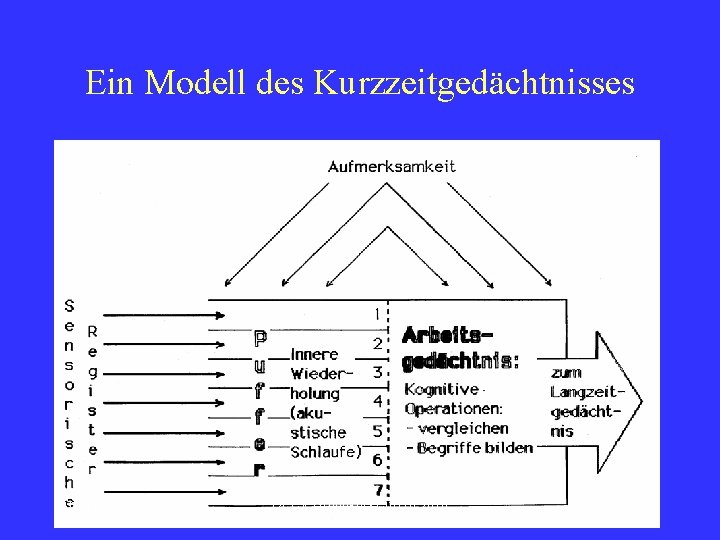 Ein Modell des Kurzzeitgedächtnisses Fredi Büchel DELV Grundkurs Luzern 2010 6 