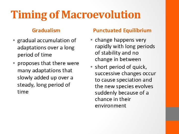 Timing of Macroevolution Gradualism Punctuated Equilibrium • gradual accumulation of adaptations over a long