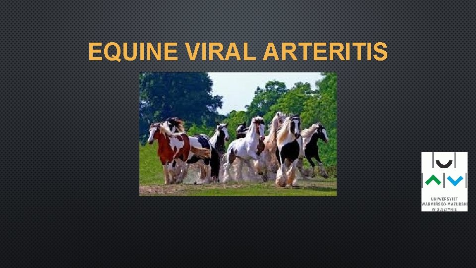 EQUINE VIRAL ARTERITIS 