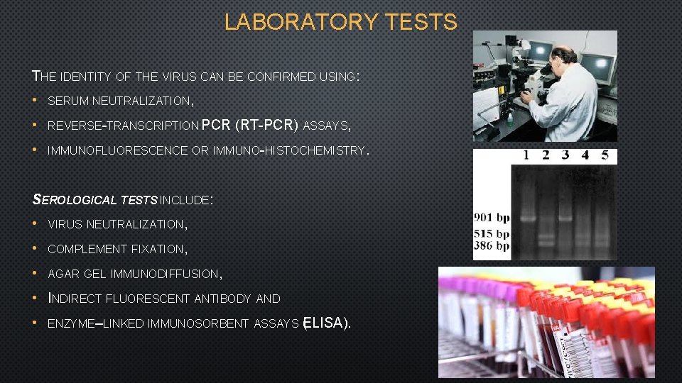 LABORATORY TESTS THE IDENTITY OF THE VIRUS CAN BE CONFIRMED USING: • SERUM NEUTRALIZATION,