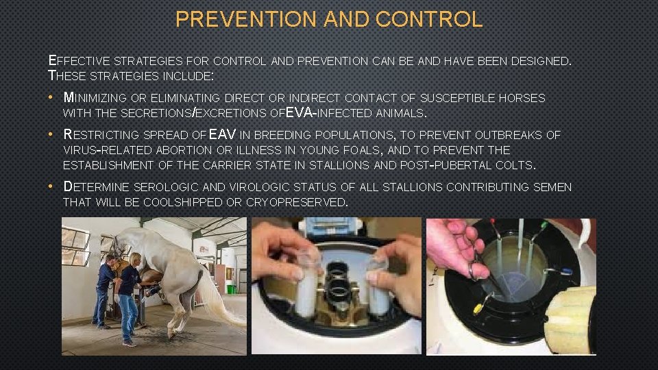 PREVENTION AND CONTROL EFFECTIVE STRATEGIES FOR CONTROL AND PREVENTION CAN BE AND HAVE BEEN