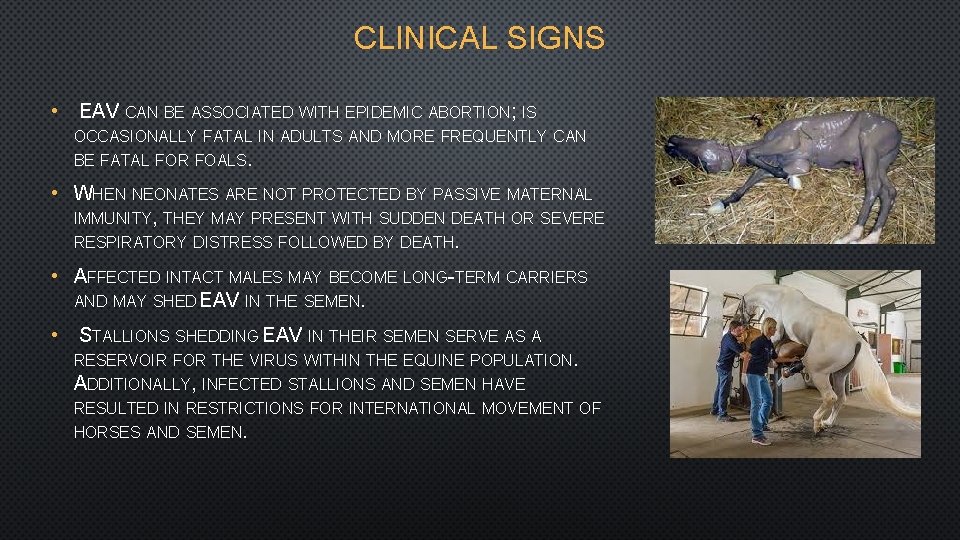 CLINICAL SIGNS • EAV CAN BE ASSOCIATED WITH EPIDEMIC ABORTION; IS OCCASIONALLY FATAL IN