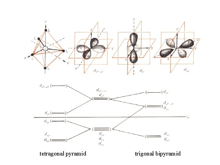 tetragonal pyramid trigonal bipyramid 