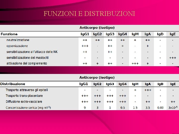 FUNZIONI E DISTRIBUZIONI 