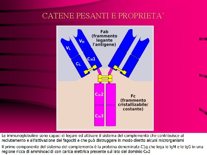 CATENE PESANTI E PROPRIETA’ 