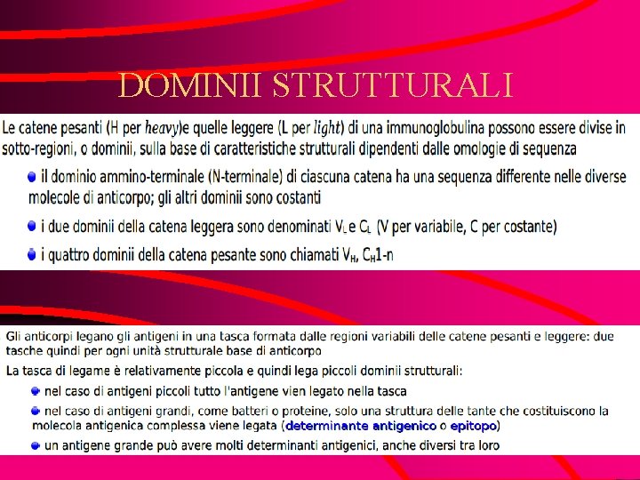 DOMINII STRUTTURALI 