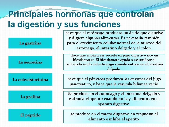 Principales hormonas que controlan la digestión y sus funciones La gastrina La secretina hace