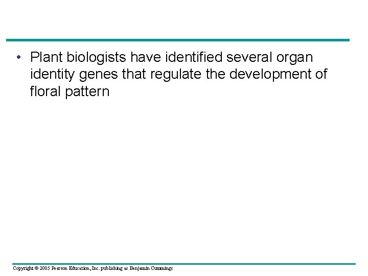  • Plant biologists have identified several organ identity genes that regulate the development