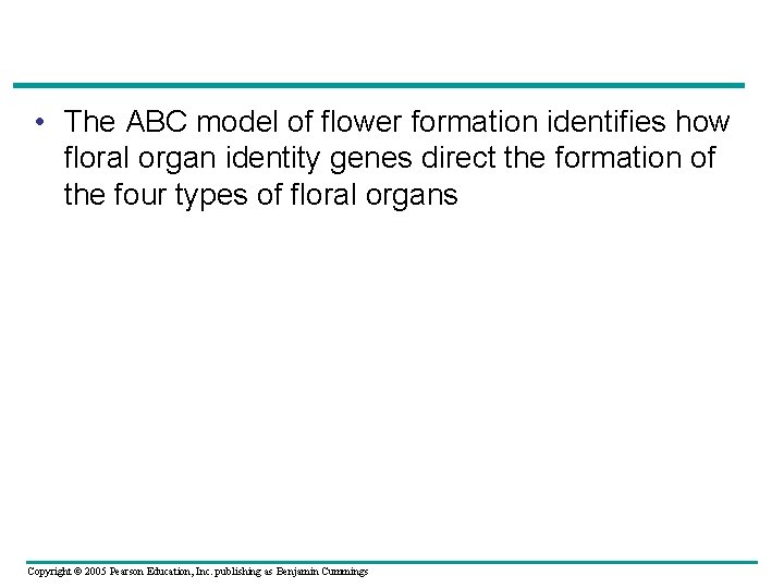  • The ABC model of flower formation identifies how floral organ identity genes