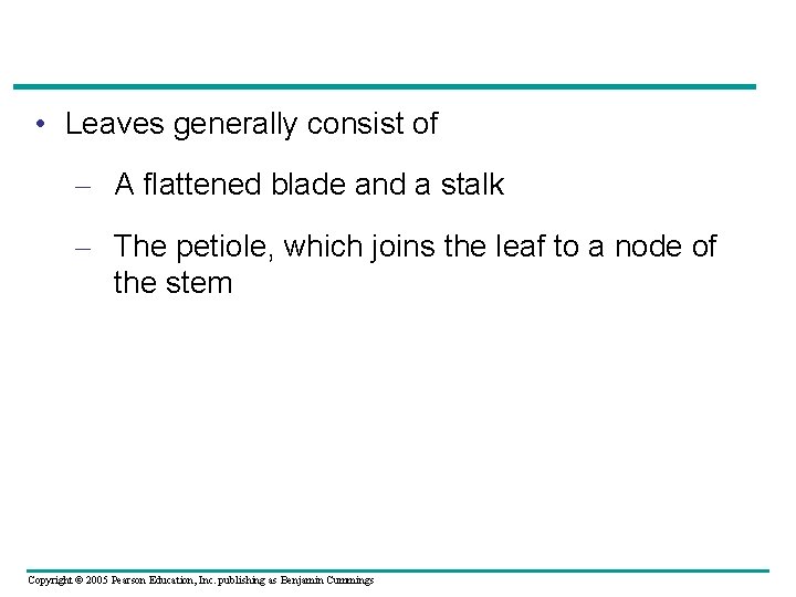  • Leaves generally consist of – A flattened blade and a stalk –