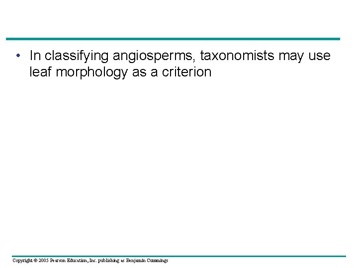  • In classifying angiosperms, taxonomists may use leaf morphology as a criterion Copyright