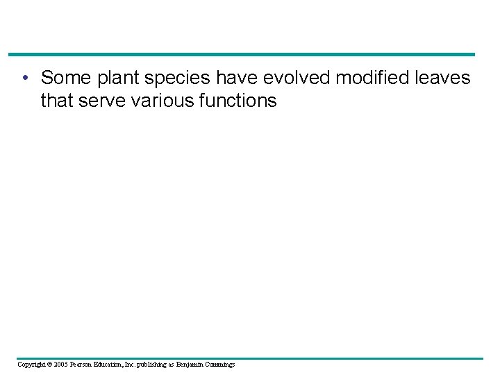  • Some plant species have evolved modified leaves that serve various functions Copyright