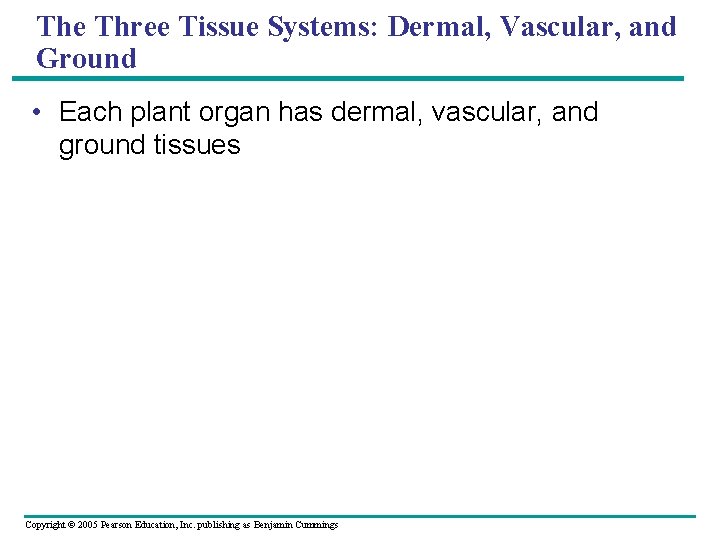 The Three Tissue Systems: Dermal, Vascular, and Ground • Each plant organ has dermal,