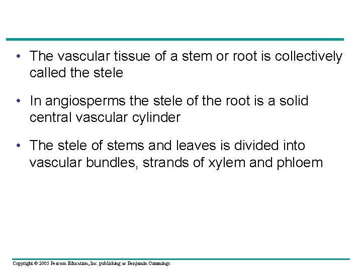  • The vascular tissue of a stem or root is collectively called the