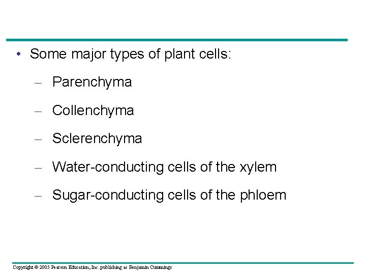  • Some major types of plant cells: – Parenchyma – Collenchyma – Sclerenchyma