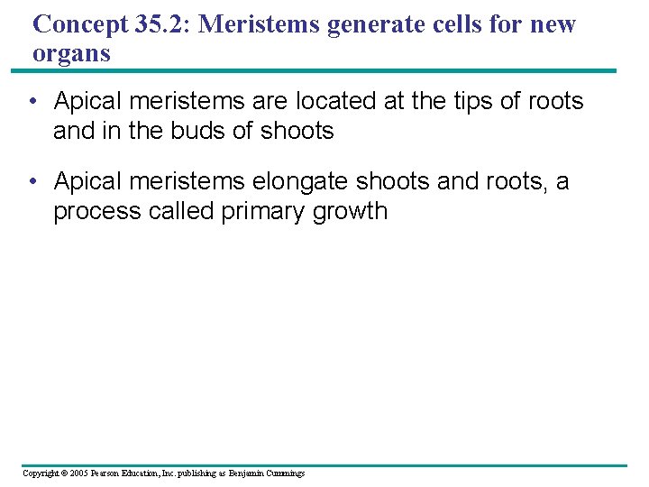 Concept 35. 2: Meristems generate cells for new organs • Apical meristems are located