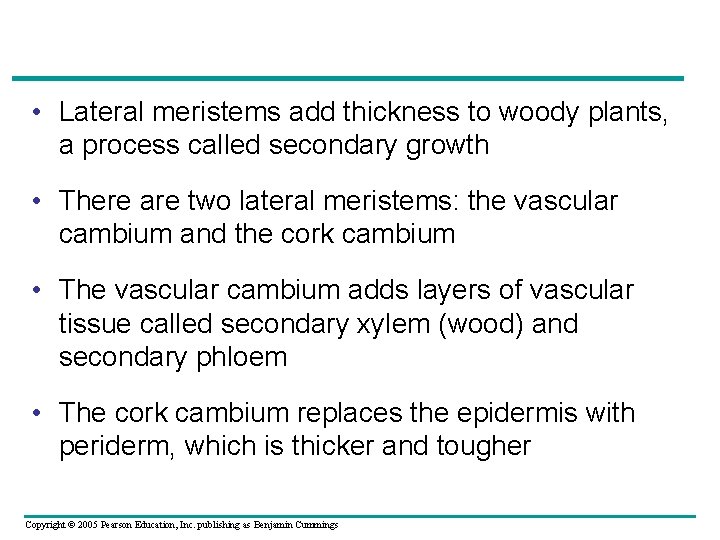 • Lateral meristems add thickness to woody plants, a process called secondary growth