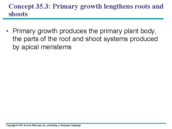 Concept 35. 3: Primary growth lengthens roots and shoots • Primary growth produces the