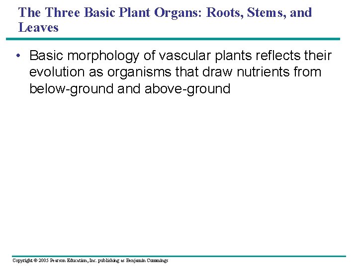 The Three Basic Plant Organs: Roots, Stems, and Leaves • Basic morphology of vascular