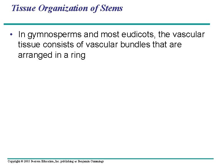 Tissue Organization of Stems • In gymnosperms and most eudicots, the vascular tissue consists