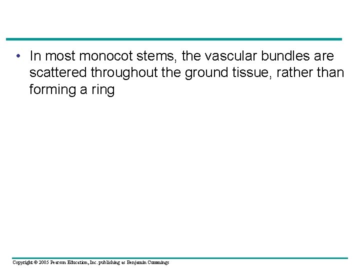  • In most monocot stems, the vascular bundles are scattered throughout the ground