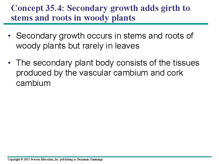 Concept 35. 4: Secondary growth adds girth to stems and roots in woody plants