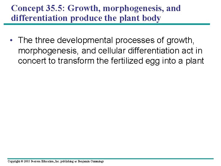 Concept 35. 5: Growth, morphogenesis, and differentiation produce the plant body • The three