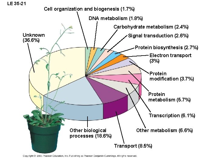 LE 35 -21 Cell organization and biogenesis (1. 7%) DNA metabolism (1. 8%) Carbohydrate