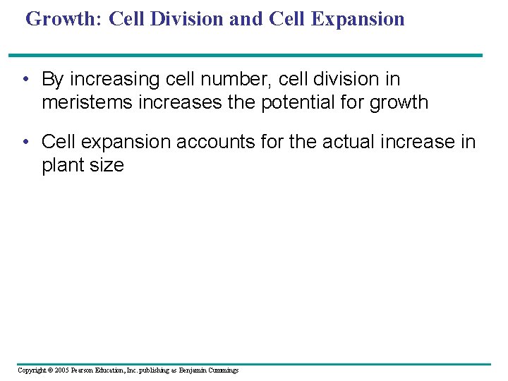 Growth: Cell Division and Cell Expansion • By increasing cell number, cell division in