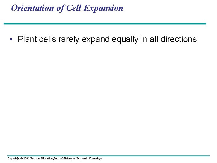 Orientation of Cell Expansion • Plant cells rarely expand equally in all directions Copyright