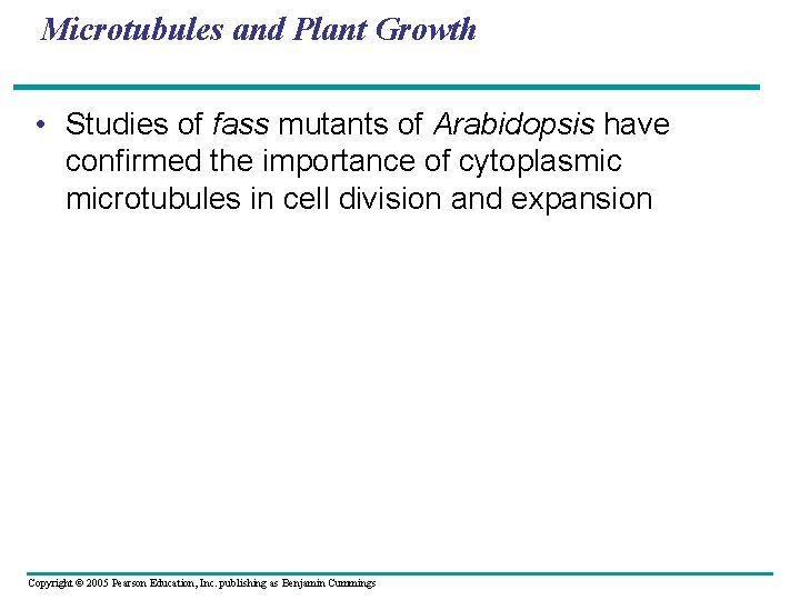 Microtubules and Plant Growth • Studies of fass mutants of Arabidopsis have confirmed the