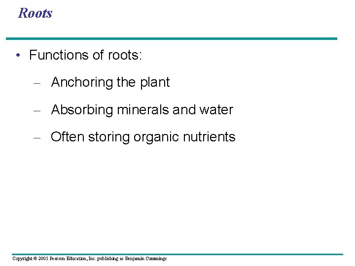 Roots • Functions of roots: – Anchoring the plant – Absorbing minerals and water