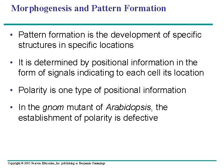 Morphogenesis and Pattern Formation • Pattern formation is the development of specific structures in