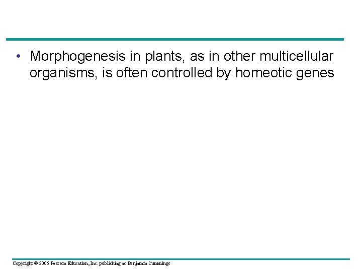  • Morphogenesis in plants, as in other multicellular organisms, is often controlled by