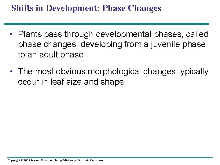 Shifts in Development: Phase Changes • Plants pass through developmental phases, called phase changes,