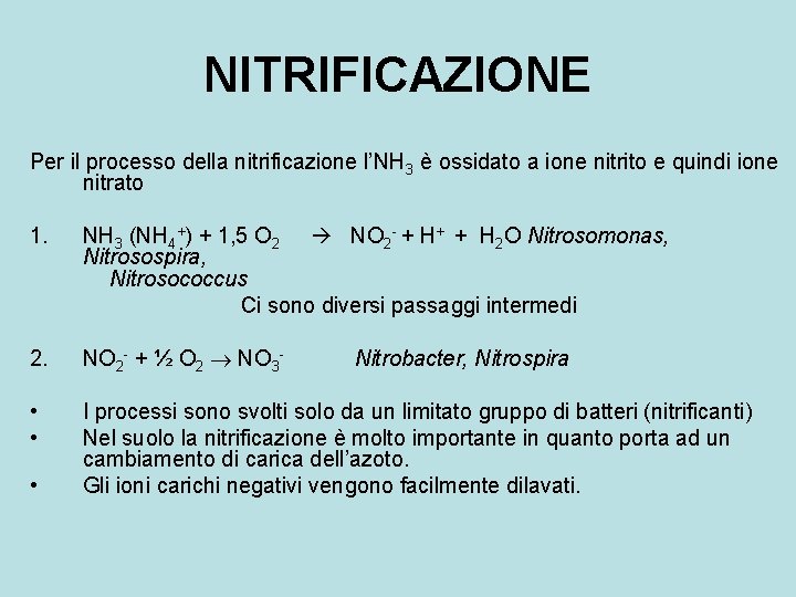 NITRIFICAZIONE Per il processo della nitrificazione l’NH 3 è ossidato a ione nitrito e