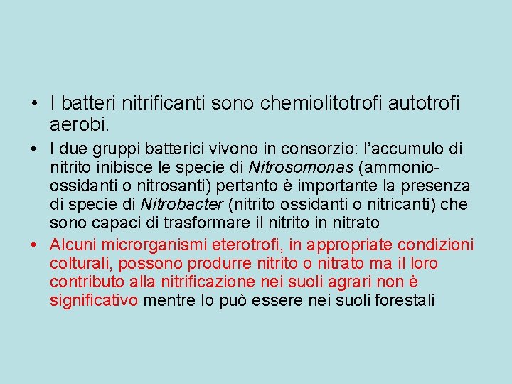  • I batteri nitrificanti sono chemiolitotrofi autotrofi aerobi. • I due gruppi batterici