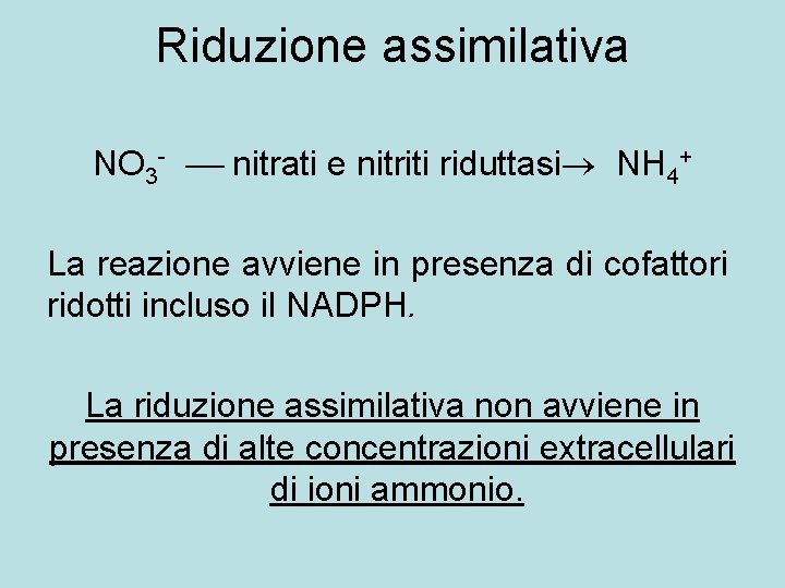 Riduzione assimilativa NO 3 - nitrati e nitriti riduttasi NH 4+ La reazione avviene