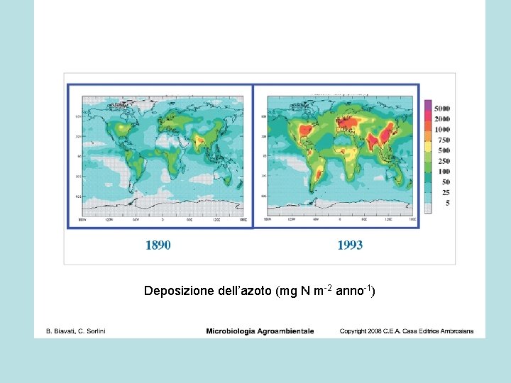 Deposizione dell’azoto (mg N m-2 anno-1) 