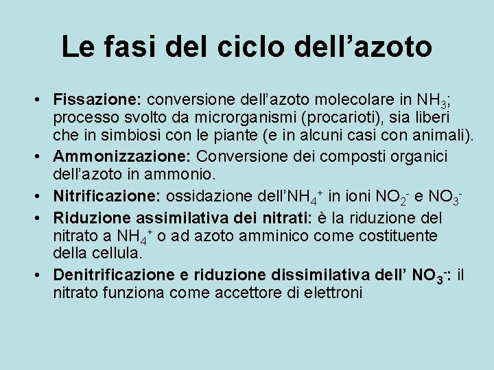Le fasi del ciclo dell’azoto • Fissazione: conversione dell’azoto molecolare in NH 3; processo