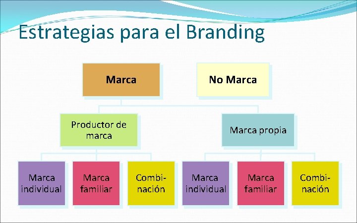 Estrategias para el Branding Marca No Marca Productor de marca Marca individual Marca familiar