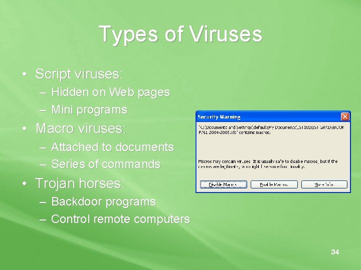 Types of Viruses • Script viruses: – Hidden on Web pages – Mini programs