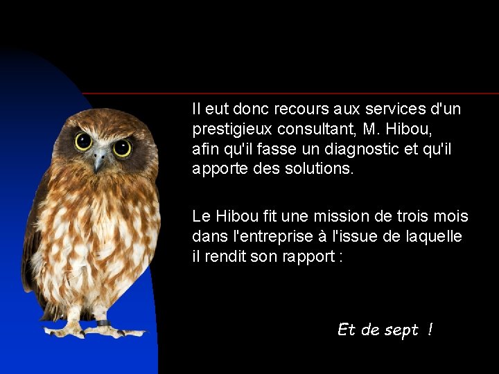 Il eut donc recours aux services d'un prestigieux consultant, M. Hibou, afin qu'il fasse